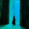 Mona Alzaylaie