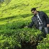 shailendra shukla