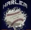 HARLEM BASEBALL HITTING ACADEMY
