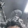 Sarvesh Kumar