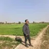 Najam ul Faizan Shaikh