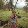 CA jinal Mehta