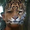 Hanif Maruf