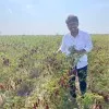 Mallikarjun Shettar