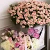 Alwafa Aljallad