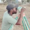 Daya Nand Chauhan