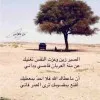 Hamed Alzabny
