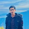 M Naeem Malik