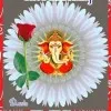 Navin Patel