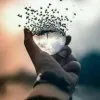 Ashish Vishnoi