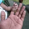 Murugan Nagendran