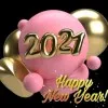 Loveli Noor