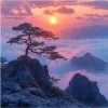 Hong Lin