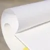 rogini