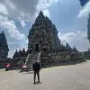 yan yan shopiyan