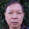 David Chan