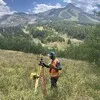 Matt Saraceno