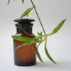 CareLine Pharmacy
