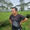 Bayu Teja