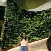 Anvitha BR