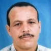 Fodil anede