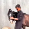 Aaquib Shaikh