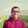 Mohammed mostafa