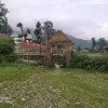Avinash Kumar