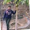 SHETA SARKAR