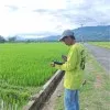 Agus Maulana