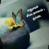 Karthick Ambikapathy