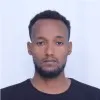 Dinka Fayisa
