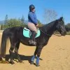Narissa