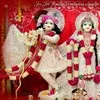 sunil bhatnagar