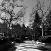 Devin Castillo