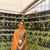 Tejaswi Ginkala
