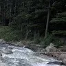 Puligunta Venkata Tushara