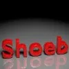 Mohd Shoeb