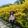 Nikhitha