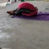 Ganesh Jutta