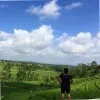 Agus Indrawan