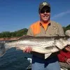 Charles Phelps II