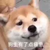 Shengbin Bao
