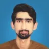 Muhammad Hamza Anwar