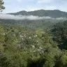 DELILAH Waking