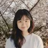 Siying Li