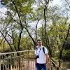Alok Tripathi