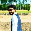 Saqib aliTrader