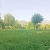 Asiya Bashir
