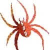 Spider Website Developers